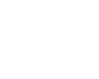 Logo White